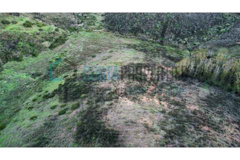 Helårsgrund i Sagres, Faro, Sagres - € 22.000 | Ref: CP-T2444 - foto 16