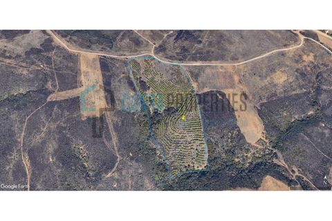 Helårsgrund i Sagres, Faro, Sagres - € 79.000 | Ref: CP-T2445 - foto 3