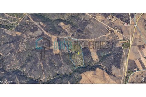 Helårsgrund i Sagres, Faro, Sagres - € 79.000 | Ref: CP-T2445 - foto 4