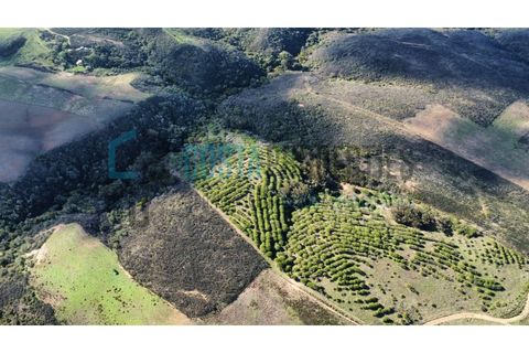 Helårsgrund i Sagres, Faro, Sagres - € 79.000 | Ref: CP-T2445 - foto 5