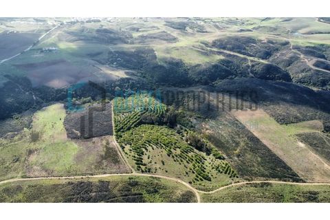 Helårsgrund i Sagres, Faro, Sagres - € 79.000 | Ref: CP-T2445 - foto 6