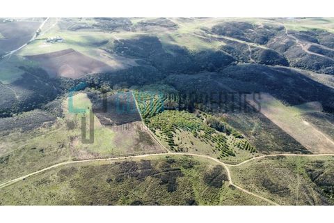 Helårsgrund i Sagres, Faro, Sagres - € 79.000 | Ref: CP-T2445 - foto 10