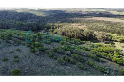 Helårsgrund i Sagres, Faro, Sagres - € 79.000 | Ref: CP-T2445 - foto 11