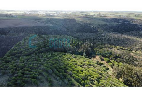 Helårsgrund i Sagres, Faro, Sagres - € 79.000 | Ref: CP-T2445 - foto 12