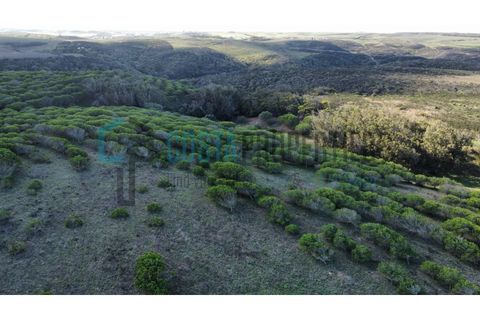 Helårsgrund i Sagres, Faro, Sagres - € 79.000 | Ref: CP-T2445 - foto 13