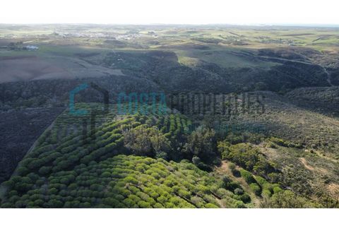 Helårsgrund i Sagres, Faro, Sagres - € 79.000 | Ref: CP-T2445 - foto 14