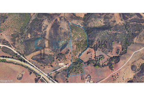 Helårsgrund i Sagres, Faro, Sagres - € 45.000 | Ref: CP-T2446 - foto 2