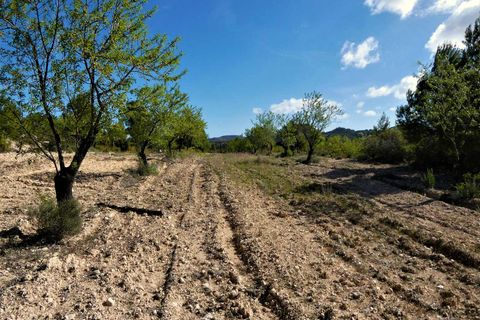 Finca a Calaceite, Teruel, Calaceite - € 39.000 | Ref: 0940 - foto 20