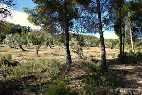 Finca a Calaceite, Teruel, Calaceite - € 39.000 | Ref: 0940 - foto 6