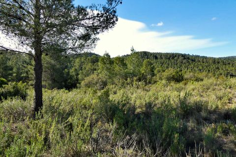 Finca a Calaceite, Teruel, Calaceite - € 39.000 | Ref: 0940 - foto 9