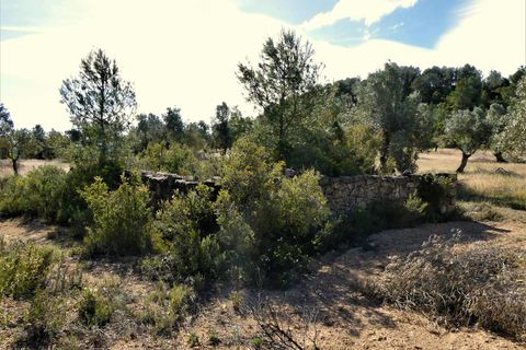 Finca a Calaceite, Teruel, Calaceite - € 39.000 | Ref: 0940 - foto 17