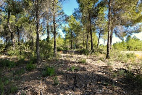 Finca a Calaceite, Teruel, Calaceite - € 39.000 | Ref: 0940 - foto 7