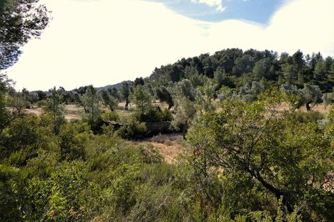 Finca a Calaceite, Teruel, Calaceite - € 39.000 | Ref: 0940 - foto 14