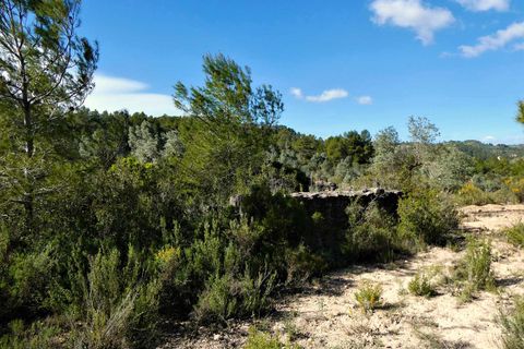 Finca a Calaceite, Teruel, Calaceite - € 39.000 | Ref: 0940 - foto 19