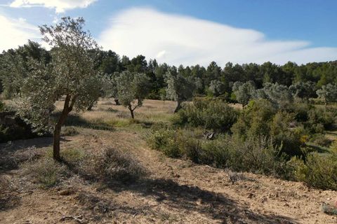 Finca a Calaceite, Teruel, Calaceite - € 39.000 | Ref: 0940 - foto 16