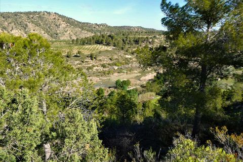 Finca a Calaceite, Teruel, Calaceite - € 39.000 | Ref: 0940 - foto 10