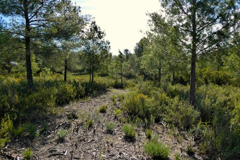 Finca a Calaceite, Teruel, Calaceite - € 39.000 | Ref: 0940 - foto 13