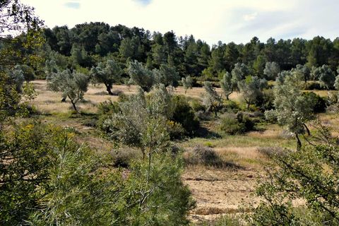 Finca a Calaceite, Teruel, Calaceite - € 39.000 | Ref: 0940 - foto 15