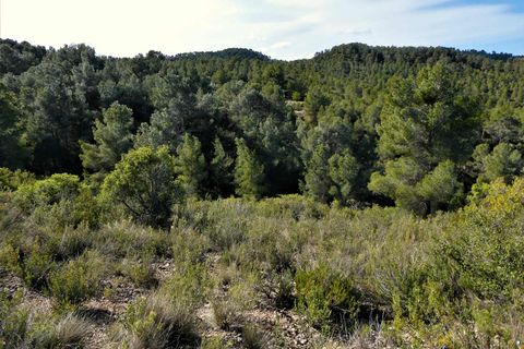 Finca a Calaceite, Teruel, Calaceite - € 39.000 | Ref: 0940 - foto 12
