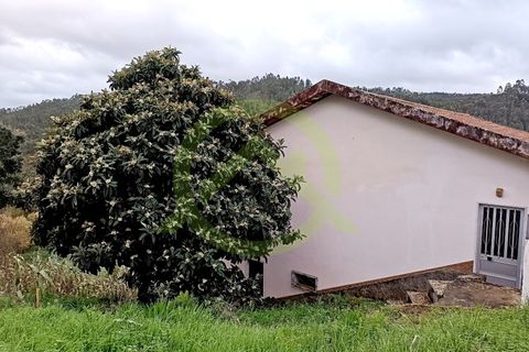 Villa i Coimbra, Coimbra, Coimbra - € 250.000 | Ref: HAB_234 - foto 32