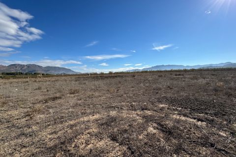 Terra a Ricote, Murcia, Ricote - € 29.000 | Ref: 2347 - foto 4
