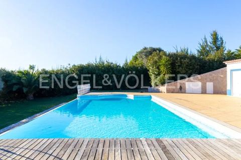 Landejendom i Beringel, Beja, Beringel - € 3.150.000 | Ref: W-02O6M5 - foto 7
