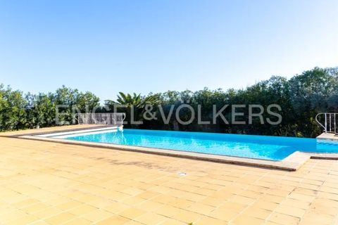 Landejendom i Beringel, Beja, Beringel - € 3.150.000 | Ref: W-02O6M5 - foto 8