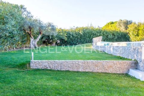 Landejendom i Beringel, Beja, Beringel - € 3.150.000 | Ref: W-02O6M5 - foto 12