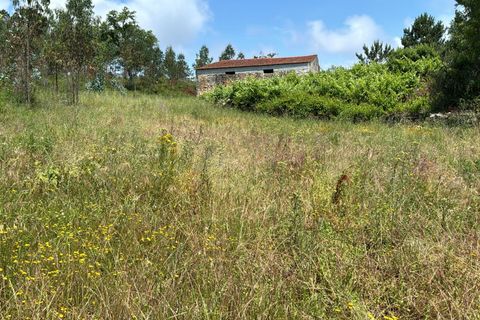 Helårsgrund i Casegas e Ourondo, Castelo Branco, Casegas e Ourondo - € 20.000 | Ref: 2SA91 - foto 4