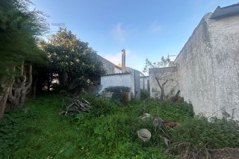Helårsgrund i A dos Cunhados e Maceira, Lisbon, A dos Cunhados e Maceira - € 197.500 | Ref: K&R - 176 - foto 17