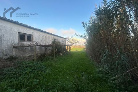 Helårsgrund i A dos Cunhados e Maceira, Lisbon, A dos Cunhados e Maceira - € 197.500 | Ref: K&R - 176 - foto 25