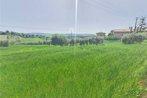 Helårsgrund i Fermo, Fermo, Fermo - € 55.000 | Ref: fm016 - foto 6