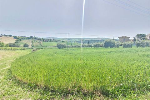 Helårsgrund i Fermo, Fermo, Fermo - € 55.000 | Ref: fm016 - foto 9