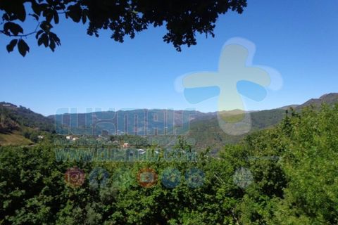 Helårsgrund i Paredes, Porto, Paredes - € 190.000 | Ref: clix mais v1.189 - foto 1
