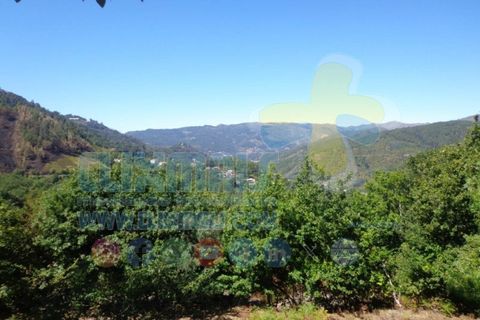 Helårsgrund i Paredes, Porto, Paredes - € 190.000 | Ref: clix mais v1.189 - foto 2