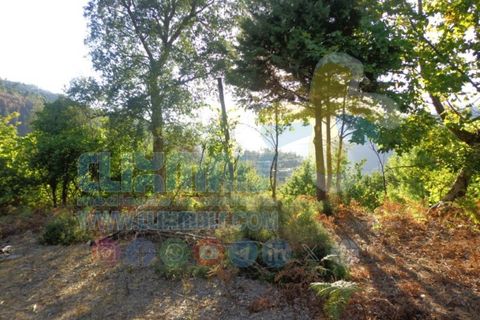 Helårsgrund i Paredes, Porto, Paredes - € 190.000 | Ref: clix mais v1.189 - foto 4