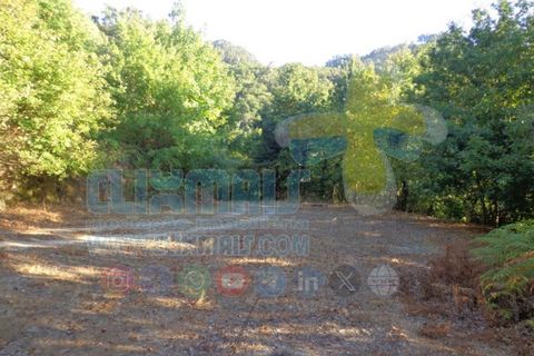 Helårsgrund i Paredes, Porto, Paredes - € 190.000 | Ref: clix mais v1.189 - foto 6