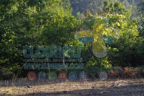 Helårsgrund i Paredes, Porto, Paredes - € 190.000 | Ref: clix mais v1.189 - foto 7