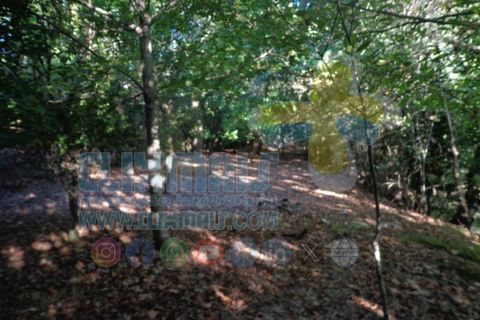 Helårsgrund i Paredes, Porto, Paredes - € 190.000 | Ref: clix mais v1.189 - foto 9
