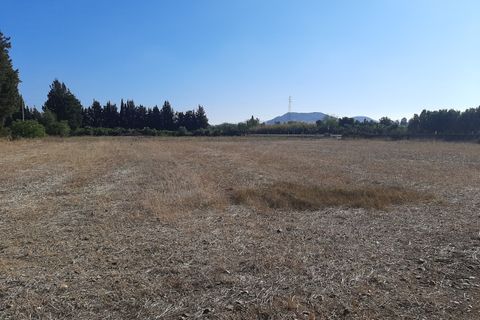 Erhvervsejendom i Monastir, Sud Sardegna, Monastir - € 60.000 | Ref: MON134 - foto 3
