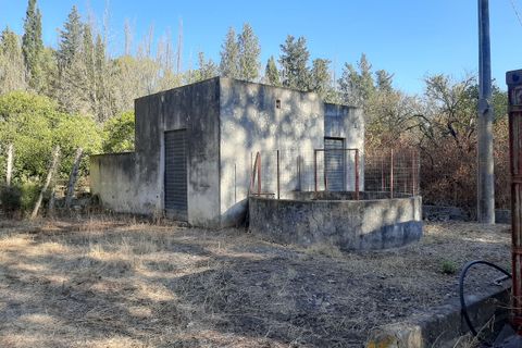 Erhvervsejendom i Monastir, Sud Sardegna, Monastir - € 60.000 | Ref: MON134 - foto 4