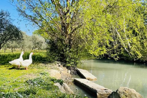 Villa a Orange, Vaucluse, Orange - € 1.459.500 | Ref: HH-15607268 - foto 14