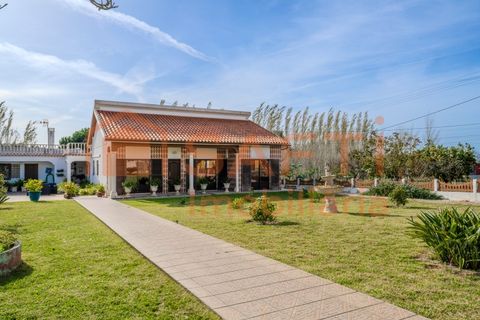 Landejendom i Pombal, Leiria, Pombal - € 290.000 | Ref: SAFTI:006112 - foto 1
