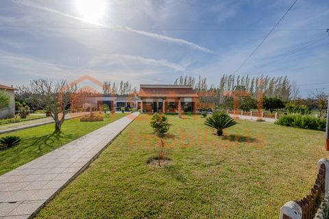 Landejendom i Pombal, Leiria, Pombal - € 290.000 | Ref: SAFTI:006112 - foto 4