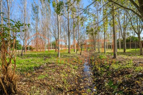 Landejendom i Pombal, Leiria, Pombal - € 290.000 | Ref: SAFTI:006112 - foto 7