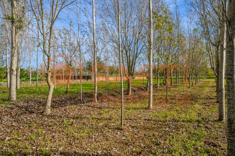 Landejendom i Pombal, Leiria, Pombal - € 290.000 | Ref: SAFTI:006112 - foto 10