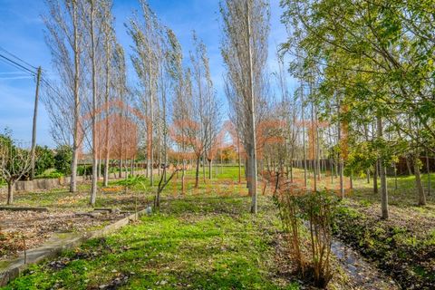 Landejendom i Pombal, Leiria, Pombal - € 290.000 | Ref: SAFTI:006112 - foto 15