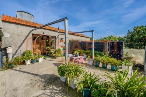 Landejendom i Pombal, Leiria, Pombal - € 290.000 | Ref: SAFTI:006112 - foto 23