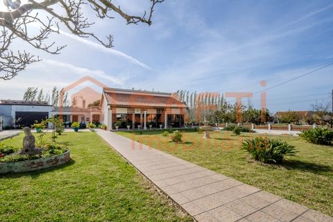 Landejendom i Pombal, Leiria, Pombal - € 290.000 | Ref: SAFTI:006112 - foto 24