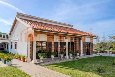Landejendom i Pombal, Leiria, Pombal - € 290.000 | Ref: SAFTI:006112 - foto 2